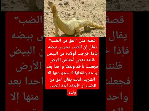 أعق من ضب