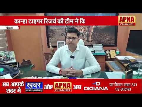 मंडला - मालखेड़ी गांव में कुएं में गिरा बाघ, कान्हा टाइगर रिजर्व की टीम ने किया रेस्क्यू