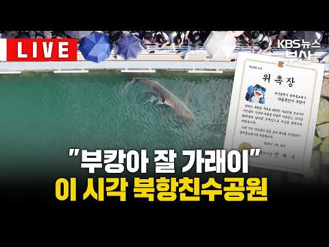 [🔴LIVE] 실시간 부캉이 귀갓길 현장... 이 시각 북항친수공원🦈 / KBS