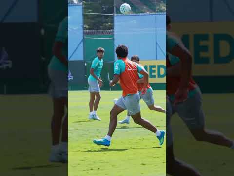 image para ilustrar o artigo