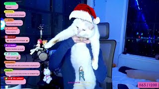 Stream Dannespino 11/12/2023