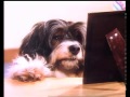 Actividades Alternativas á Televisión