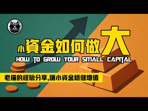 小資金如何做大？老貓的經驗分享，告別迷茫，讓小資金穩健增值，助你避開新手雷區，邁向持續盈利 | 老貓與指標