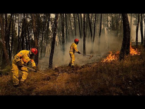 YouTube video thumbnail: Portugese Landowners Face Fines as Wildfire Inspections Begin