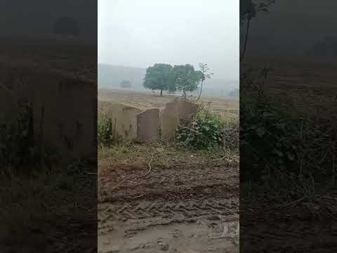 शॉर्ट.# वीडियो.#viral ☔