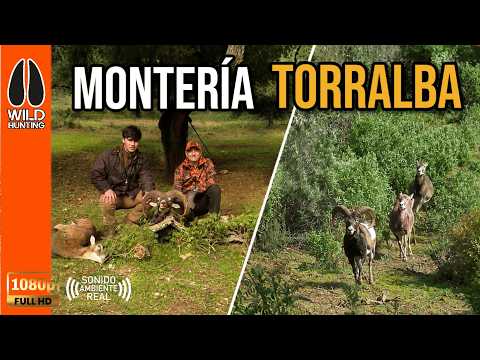 MONTERIA TORRALBA 2026 | CINEGÉTICA MONTEROS |  WILD HUNTING ROPA DE CAZA #320