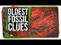 Exploring Ancient Life and Combating Ocean Acidification