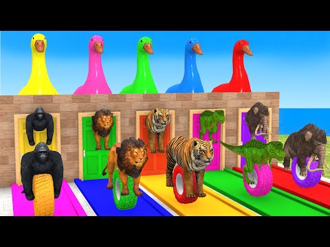 Cow Elephant Tiger Gorilla Hippo 3d Animal Crossing Paint Fountain on Long Slide Funny Cage Game