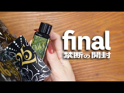 禁断の開封 final 💫 | 文房具紹介 |