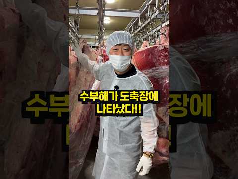 <strong>소</strong> 한마리를 다 썰어서 보내드립니다!!