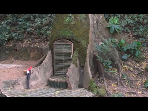 Bermalam sendirian membangun tempat berlindung di bawah pohon purba