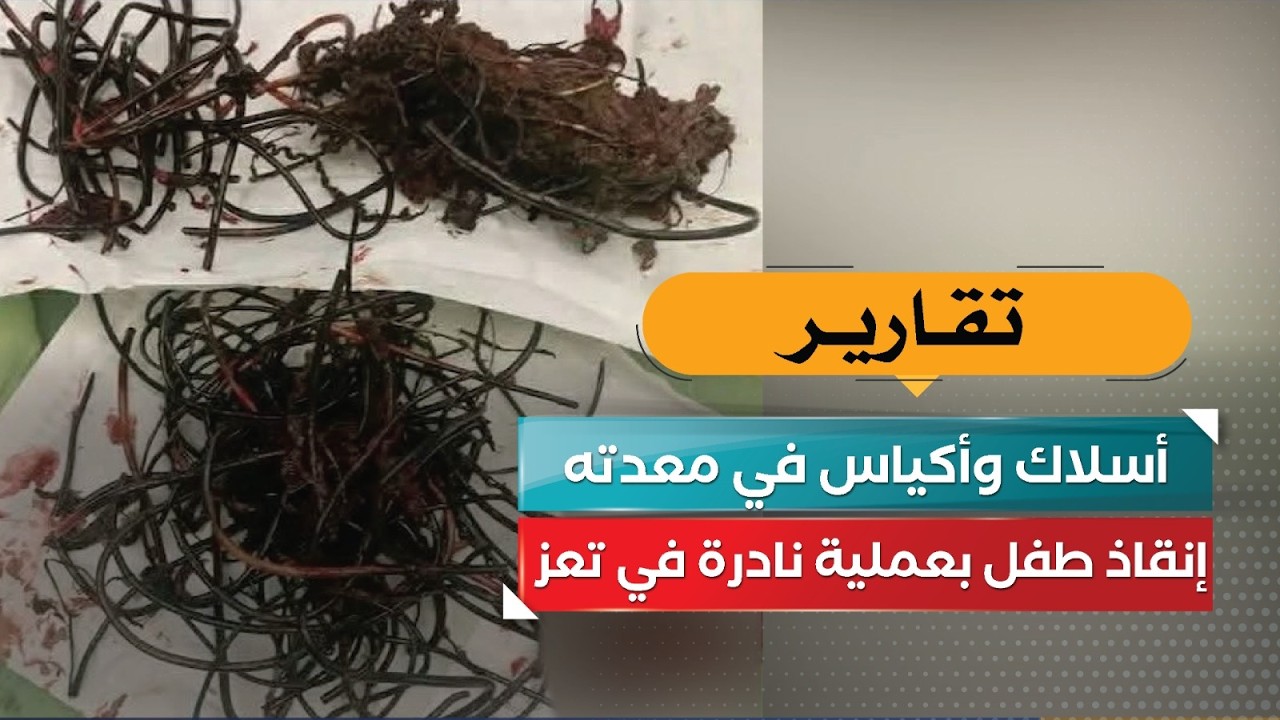 قناة السعيدة