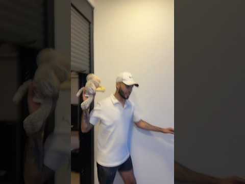 ELE JOGOU O MACACO DO PENHASCO