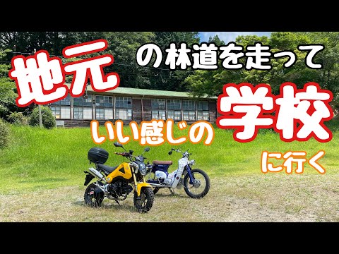 【カブで林道】地元の避暑地を求めて林道を走るその先にある素晴らしい場所#カブ主 #スーパーカブ #grom #honda #4ミニ #バイク #林道