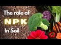 Exploring the Role of NPK in Soil Health