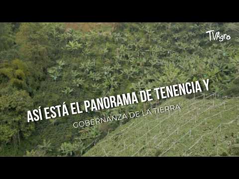 YouTube video thumbnail: This is the Current Landscape of Land Tenure and Governance