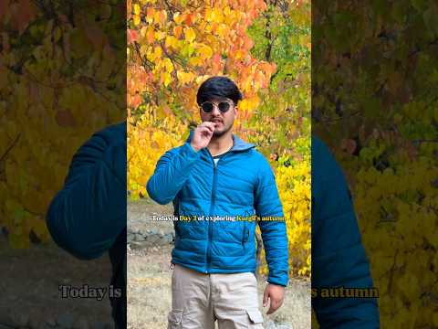 Beautiful isn’t it? #cover #song #bollywood #coversong #music #travel #kargil