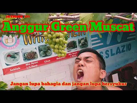 Jangan Lupa Bahagia Dan Jangan Lupa Bersyukur | Anggur Green Muscat #viral #viralvideo #anggurhijau