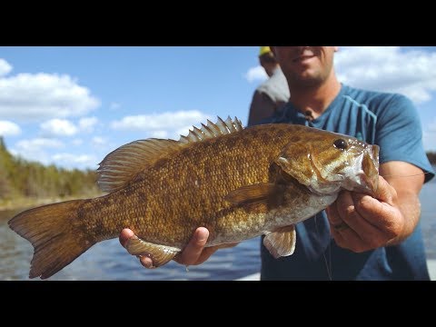 'End Of The Road' -  Manitoba Drive-To Fishing at Q Lake Lodge