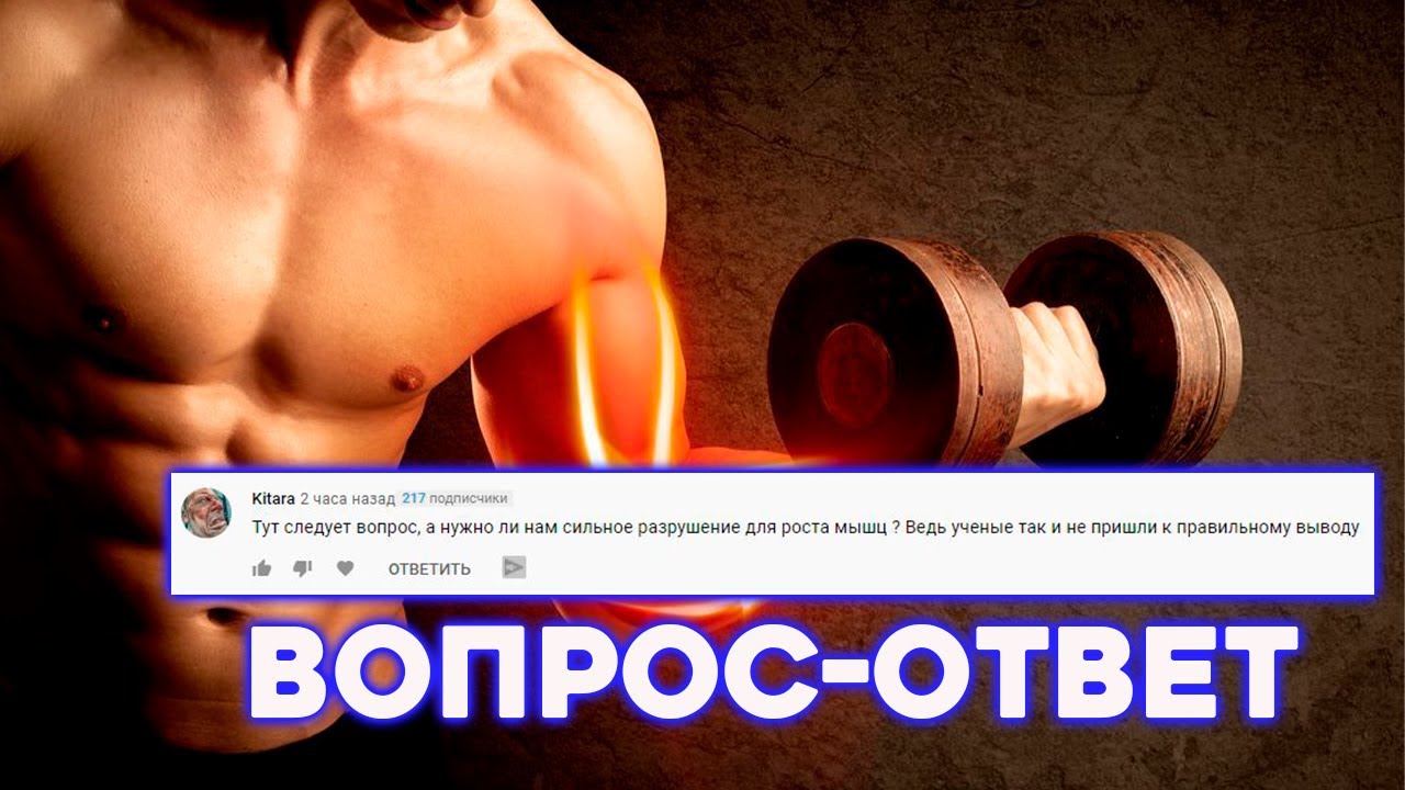Должны ли Разрушаться мышцы для роста? Вопрос ответ