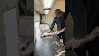 Groenewold Fur & Wool Co.