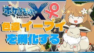 【ポケモンX】こちらミアレシティ前？イーブイの色違いを求めてタマゴを孵す雑談【カロス地方】#ポケモン #pokemonlegendsza #