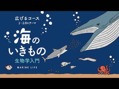 オンライン《広げるコース》1・2月テーマ「海のいきもの〜生物学入門〜」予告動画