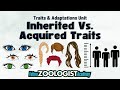 Exploring Inherited vs. Acquired Traits