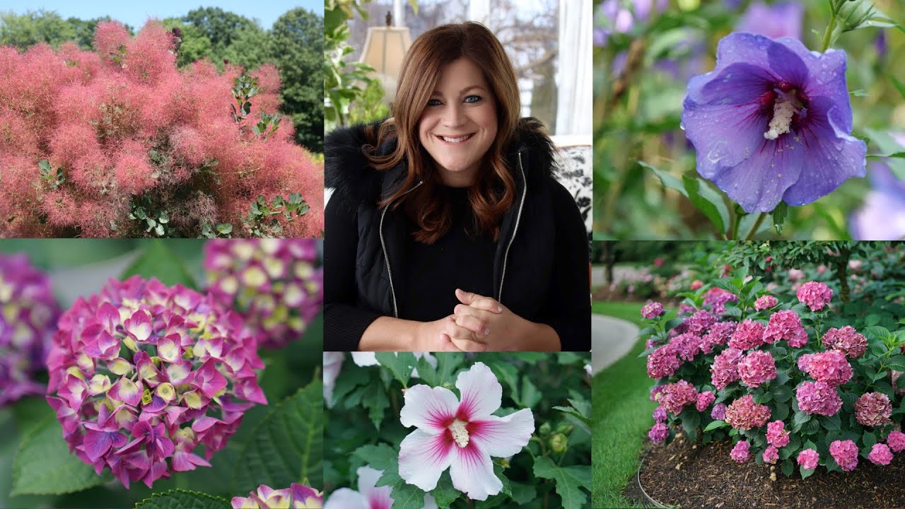New Shrubs for 2021! (Part 1)