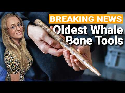 20,000 Year Old Whale Bone Tools Discovered!