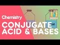 Bronsted-Lowry Acids and Bases