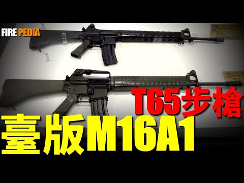 T65突擊步槍，M16與AR-18的混血！臺版M16A1，性能超越美制M16A1！臺灣步槍發展史，臺灣第一種自行設計並服役的小口徑步槍！| M14 | T57 | 突擊步槍 | 狙擊步槍 | 火力君