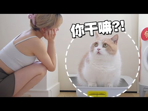 【喵来啦】当我把猫对我做的事，都对猫做了一遍……