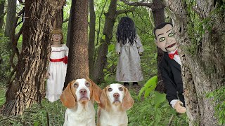 動画サムネイル