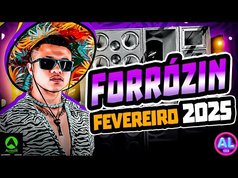 MÚSICAS DE PAREDÃO FEVEREIRO 2025 - CD FORRÓZIN - AS MAIS TOCADAS DO TIK TOK 2025 - RAMONZIN LAPADA