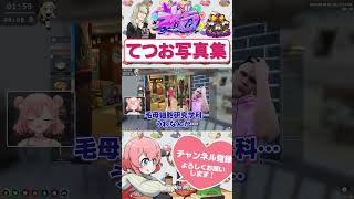 ツッコみどころが多すぎるてつお写真集　#shorts #ストグラ #ストグラ救急隊