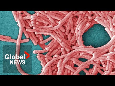 YouTube video thumbnail: Ontario Food Manufacturer’s Cooling Tower Likely Source of Legionnaires’ Outbreak