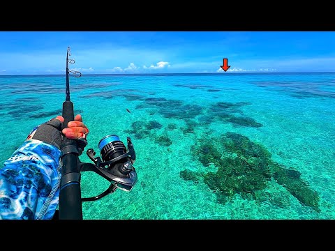 Fishing Australia's *FAMOUS* Great Barrier Reef for our Dinner! [Catch, Clean, Cook]