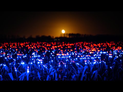 Daan Roosegaarde uses "light recipes" to show how agriculture could be more sustainable