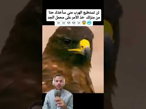 الحيونات البرية #عشقالطبيعه #عالم_الحيونات #حيوانات #الحيونات_البرية #عالم_البرية #حيوانات