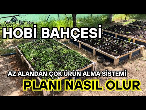 Yarı Gölgeye Ne Ekilir? Küçük Bahçelerde Büyük Tarım Sırları