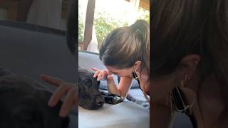 Picking up my foster dog!!