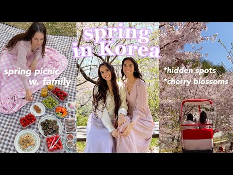 Spring in Korea 🌸 going to MUST VISIT cherry blossom spots in Seoul & Busan + having a spring picnic