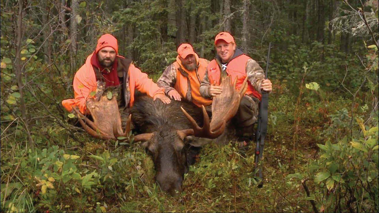 Ontario Big Game Hunting (Tale of 2 Moose Hunts! - The Ontario Experience