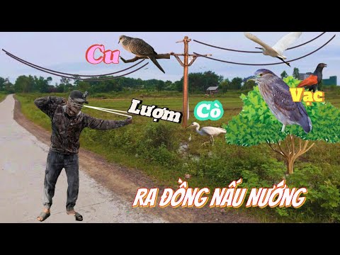Dùng Ná Cao Su Hạ Những Con Mồi , Hàng Hiếm _Tối Dẫn Cả Nhà Ra Đồng Ăn Uống Hóng Gió ||SangSlingShot