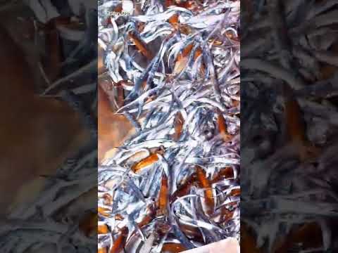 ١٠ مارس ٢٠٢٦