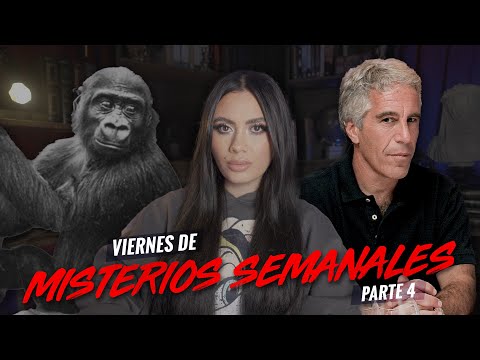 ¡CIERRAN el CASO para SIEMPRE! ¡HACE lo PEOR por NO CERRAR su CUENTA de TIK TOK! - Paulettee