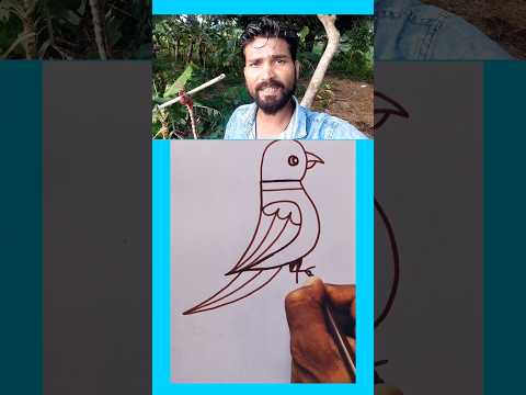 5 लिखकर तोता का चित्र बनाएं #viral #shortvideos #shorts #shortsviral #parrotlover #parrotart