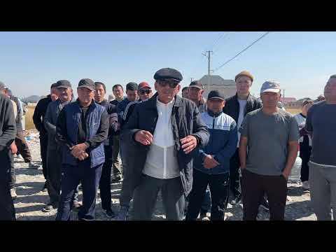 Топ