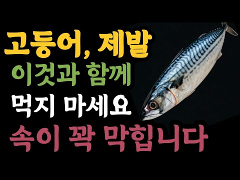 고등어와 상극인 음식 TOP3, 고등어의 몰랐던 효능. 고등어와 궁합이 맞는 음식